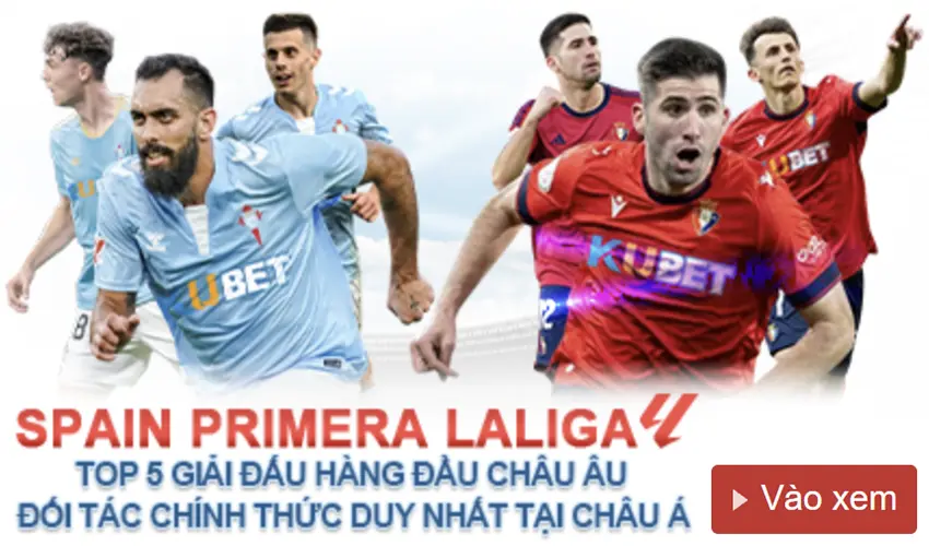 Bntc Top 5 giải đấu