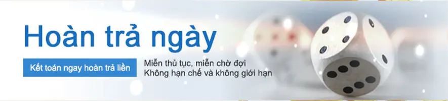 Bntc hoàn trả ngày