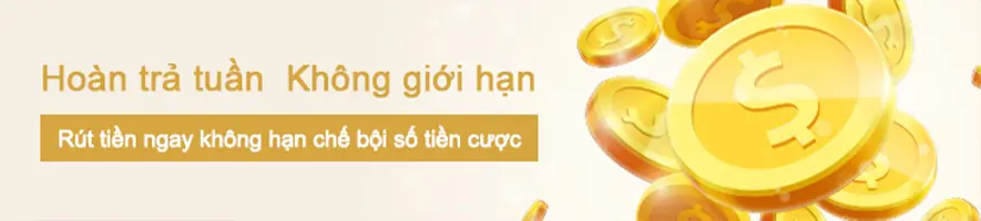 Bntc hoàn trả tuần