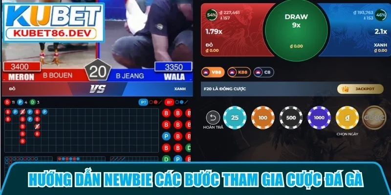 Hướng dẫn newbie các bước tham gia cược đá gà