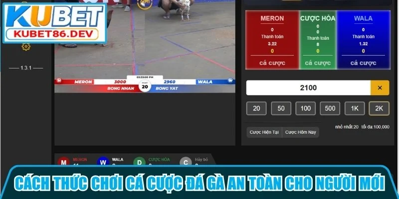Cách thức chơi cá cược đá gà an toàn cho người mới