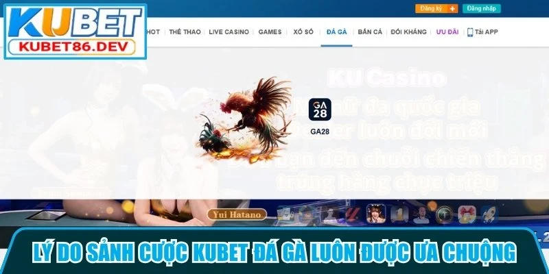 Lý do sảnh Kubet đá gà luôn được ưa chuộng