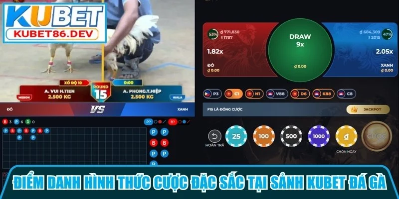 Điểm danh hình thức cược đặc sắc tại sảnh Kubet đá gà