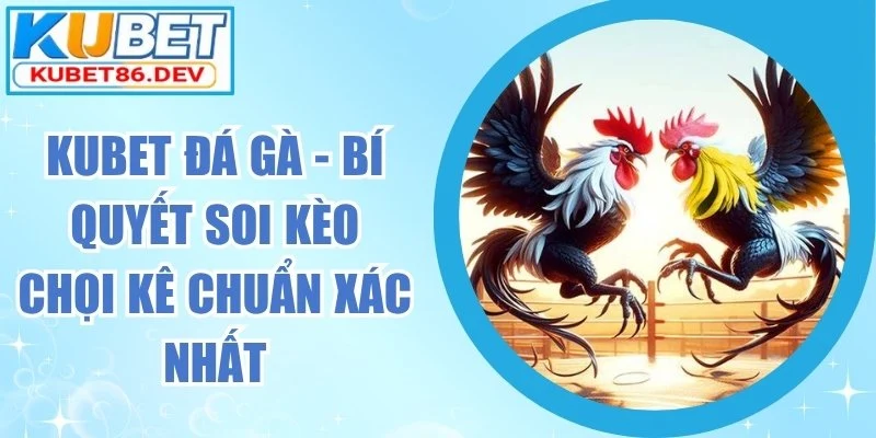 kubet-da-ga