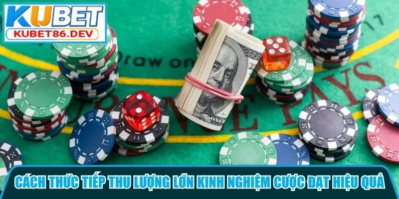 Cách thức tiếp thu lượng lớn kinh nghiệm cược đạt hiệu quả
