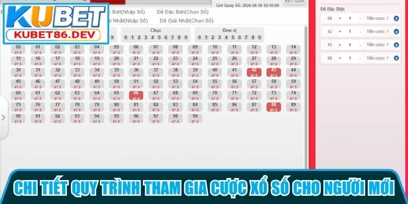 Chi tiết quy trình tham gia cược xổ số cho người mới